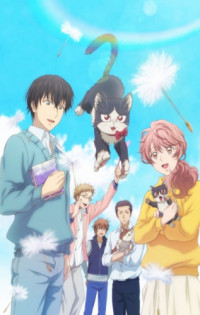 Ver Youkoso Jitsuryoku Shijou Shugi no Kyoushitsu e (TV) 2nd Season Online  — AnimeFLV